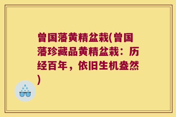 曾国藩黄精盆栽(曾国藩珍藏品黄精盆栽:历经百年,依旧生机盎然) 曾国藩黄精盆栽(曾国藩珍藏品黄精盆栽:历经百年,依旧生机盎然)