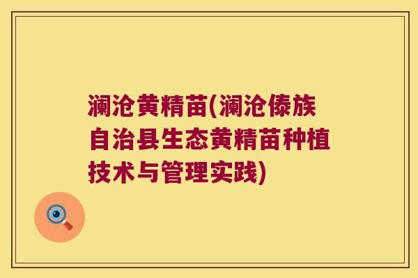澜沧黄精苗(澜沧傣族自县生态黄精苗种植技术与管理实践)