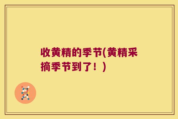收黄精的季节(黄精采摘季节到了！)
