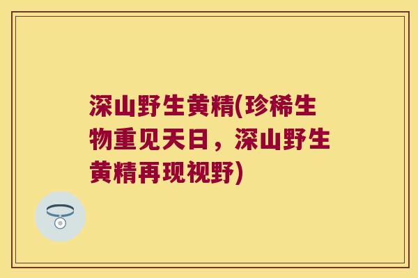 深山野生黄精(珍稀生物重见天日，深山野生黄精再现视野)