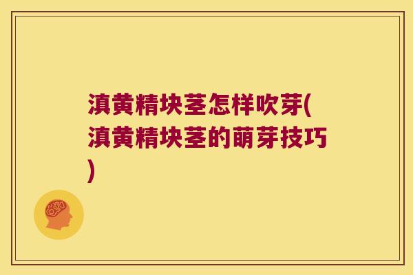 滇黄精块茎怎样吹芽(滇黄精块茎的萌芽技巧)