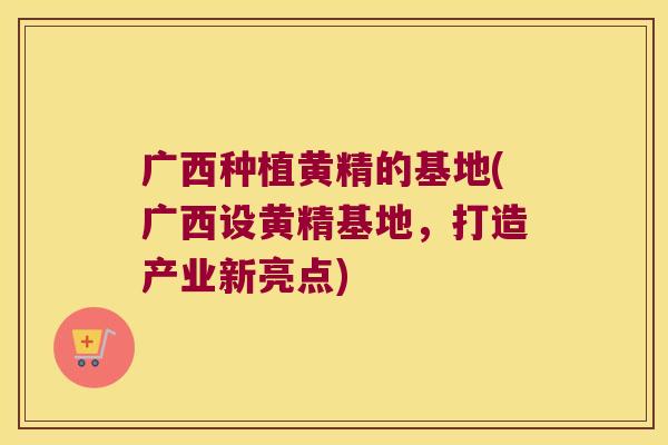 广西种植黄精的基地(广西设黄精基地,打造产业新亮点) 广西种植黄精的基地(广西设黄精基地,打造产业新亮点)