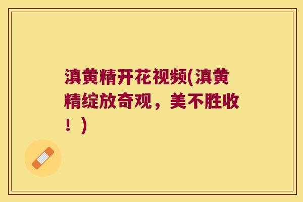 滇黄精开花视频(滇黄精绽放奇观,美不胜收!) 滇黄精开花视频(滇黄精绽放奇观,美不胜收!)
