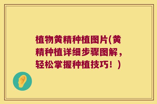 植物黄精种植图片(黄精种植详细步骤图解,轻松掌握种植技巧!) 植物黄精种植图片(黄精种植详细步骤图解,轻松掌握种植技巧!)