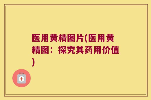 医用黄精图片(医用黄精图：探究其药用价值)