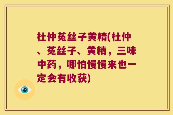 杜仲菟丝子黄精(杜仲、菟丝子、黄精，三味，哪怕慢慢来也一定会有收获)