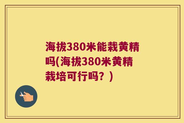 海拔380米能栽黄精吗(海拔380米黄精栽培可行吗?) 海拔380米能栽黄精吗(海拔380米黄精栽培可行吗?)