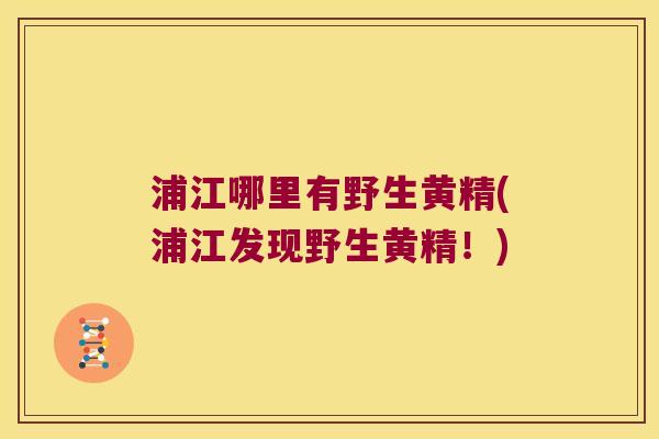 浦江哪里有野生黄精(浦江发现野生黄精！)