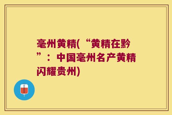 毫州黄精(“黄精在黔”:中国毫州名产黄精闪耀贵州) 毫州黄精(“黄精在黔”:中国毫州名产黄精闪耀贵州)