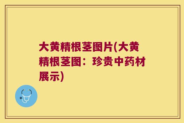 大黄精根茎图片(大黄精根茎图：珍贵材展示)