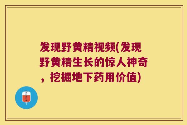 发现野黄精视频(发现野黄精生长的惊人神奇,挖掘地下药用价值) 发现野黄精视频(发现野黄精生长的惊人神奇,挖掘地下药用价值)