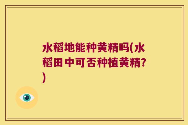 水稻地能种黄精吗(水稻田中可否种植黄精？)