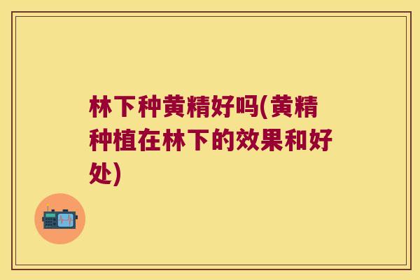 林下种黄精好吗(黄精种植在林下的效果和好处) 林下种黄精好吗(黄精种植在林下的效果和好处)