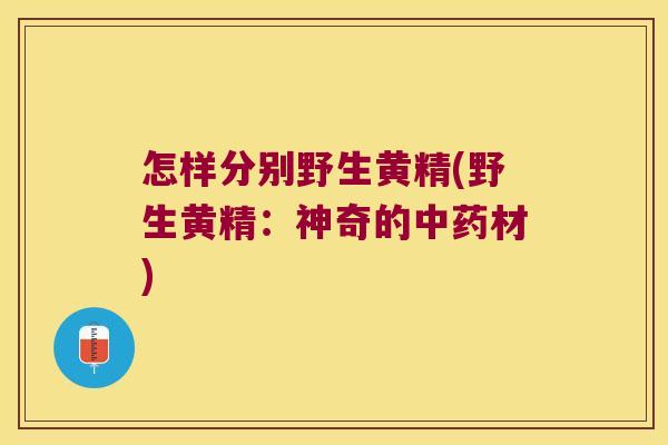 怎样分别野生黄精(野生黄精：神奇的材)