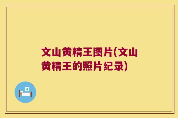 文山黄精王图片(文山黄精王的照片纪录)