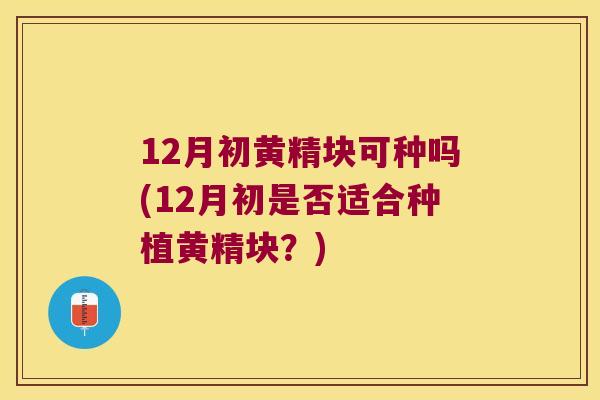 12月初黄精块可种吗(12月初是否适合种植黄精块？)