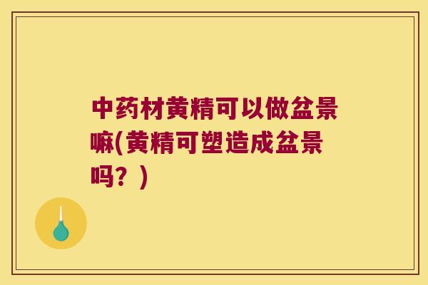 材黄精可以做盆景嘛(黄精可塑造成盆景吗?) 材黄精可以做盆景嘛(黄精可塑造成盆景吗?)