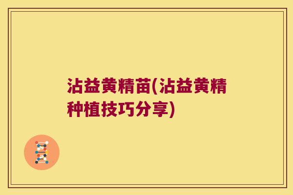 沾益黄精苗(沾益黄精种植技巧分享)