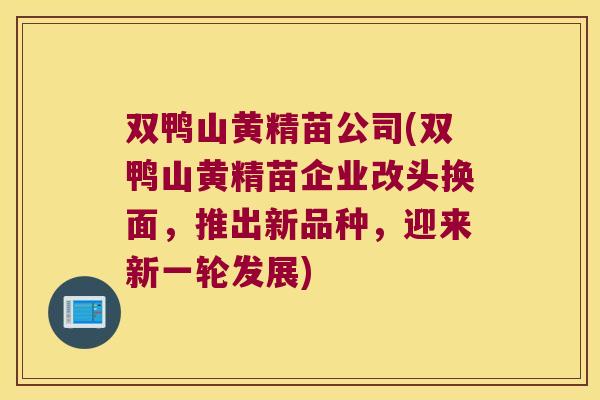 双鸭山黄精苗公司(双鸭山黄精苗企业改头换面，推出新品种，迎来新一轮发展)