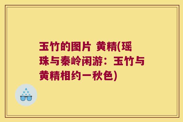 玉竹的图片 黄精(瑶珠与秦岭闲游：玉竹与黄精相约一秋色)
