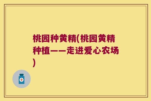 桃园种黄精(桃园黄精种植——走进爱心农场) 桃园种黄精(桃园黄精种植——走进爱心农场)