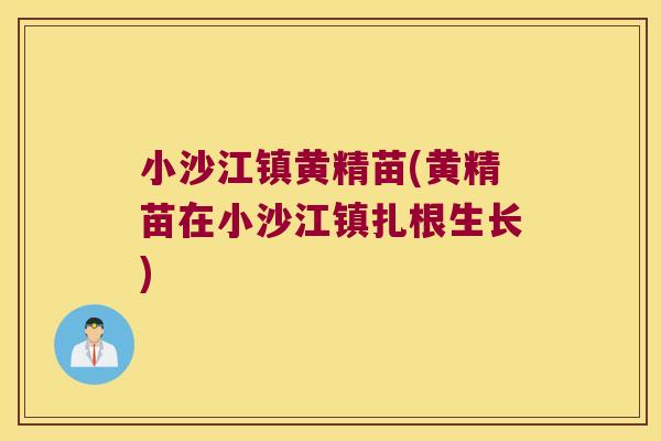 小沙江镇黄精苗(黄精苗在小沙江镇扎根生长)
