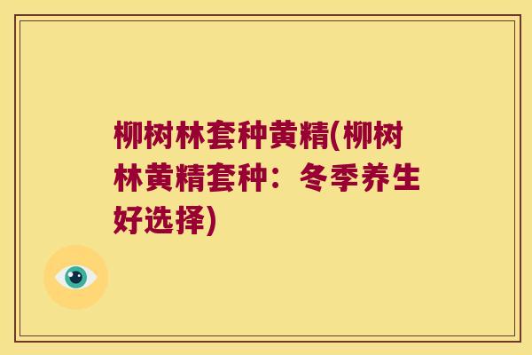 柳树林套种黄精(柳树林黄精套种：冬季养生好选择)