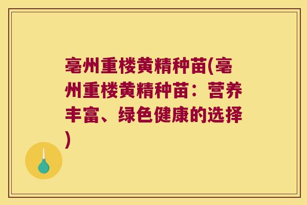 亳州重楼黄精种苗(亳州重楼黄精种苗:营养丰富、绿色健康的选择) 亳州重楼黄精种苗(亳州重楼黄精种苗:营养丰富、绿色健康的选择)