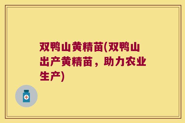 双鸭山黄精苗(双鸭山出产黄精苗，助力农业生产)