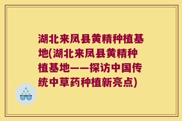 湖北来凤县黄精种植基地(湖北来凤县黄精种植基地——探访中国传统中草药种植新亮点)