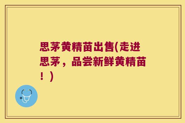 思茅黄精苗出售(走进思茅，品尝新鲜黄精苗！)
