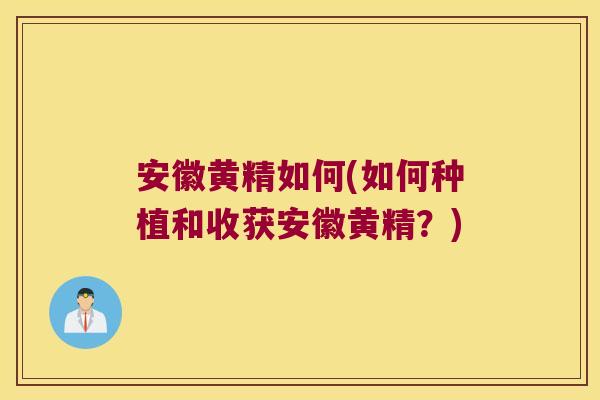 安徽黄精如何(如何种植和收获安徽黄精?) 安徽黄精如何(如何种植和收获安徽黄精?)