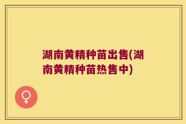 湖南黄精种苗出售(湖南黄精种苗热售中) 湖南黄精种苗出售(湖南黄精种苗热售中)