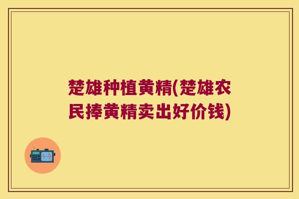 楚雄种植黄精(楚雄农民捧黄精卖出好价钱)