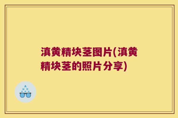 滇黄精块茎图片(滇黄精块茎的照片分享) 滇黄精块茎图片(滇黄精块茎的照片分享)