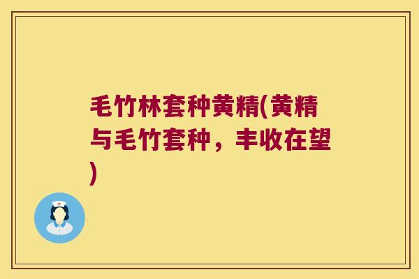 毛竹林套种黄精(黄精与毛竹套种，丰收在望)