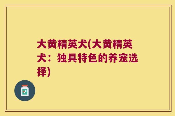 大黄精英犬(大黄精英犬:独具特色的养宠选择) 大黄精英犬(大黄精英犬:独具特色的养宠选择)