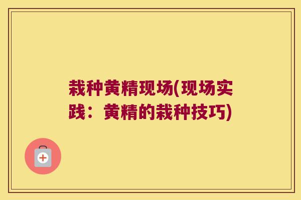 栽种黄精现场(现场实践：黄精的栽种技巧)