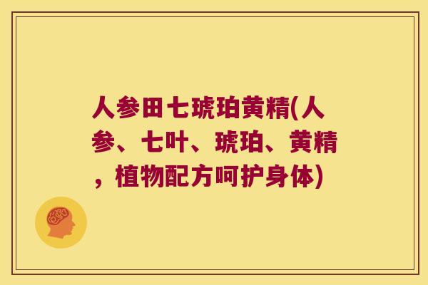 人参田七琥珀黄精(人参、七叶、琥珀、黄精,植物配方呵护身体) 人参田七琥珀黄精(人参、七叶、琥珀、黄精,植物配方呵护身体)