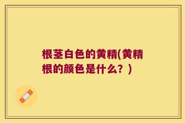 根茎白色的黄精(黄精根的颜色是什么?) 根茎白色的黄精(黄精根的颜色是什么?)