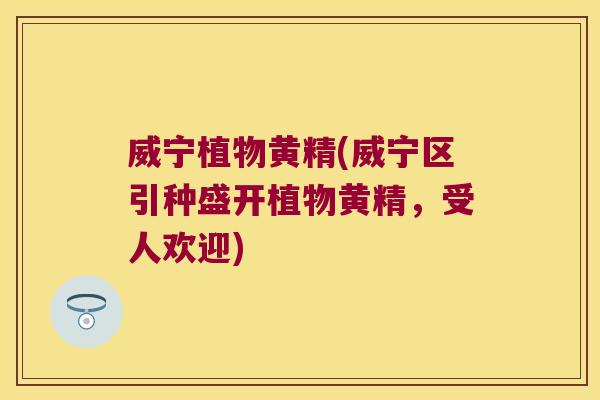 威宁植物黄精(威宁区引种盛开植物黄精，受人欢迎)