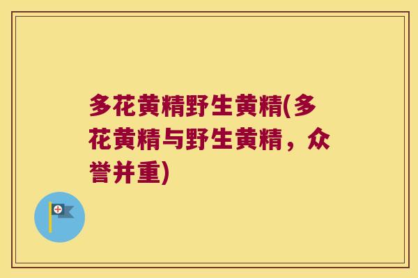 多花黄精野生黄精(多花黄精与野生黄精,众誉并重) 多花黄精野生黄精(多花黄精与野生黄精,众誉并重)