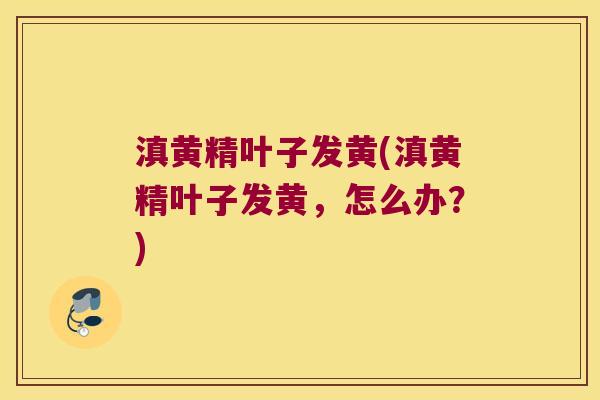 滇黄精叶子发黄(滇黄精叶子发黄,怎么办?) 滇黄精叶子发黄(滇黄精叶子发黄,怎么办?)