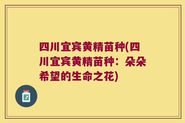 四川宜宾黄精苗种(四川宜宾黄精苗种：朵朵希望的生命之花)