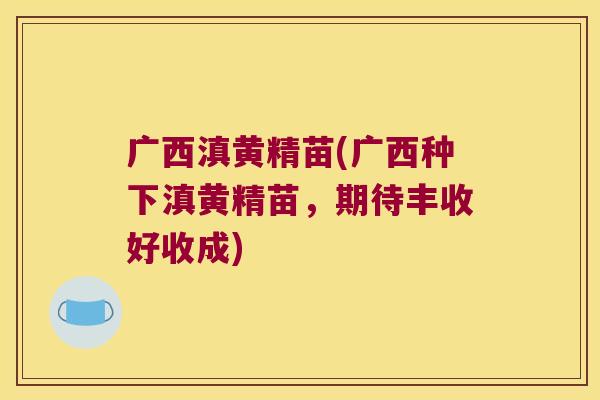 广西滇黄精苗(广西种下滇黄精苗，期待丰收好收成)