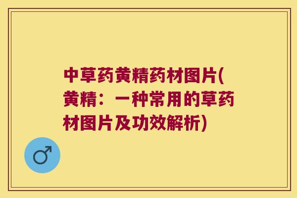中草药黄精药材图片(黄精:一种常用的草药材图片及功效解析) 中草药黄精药材图片(黄精:一种常用的草药材图片及功效解析)