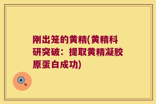 刚出笼的黄精(黄精科研突破：提取黄精凝胶原蛋白成功)