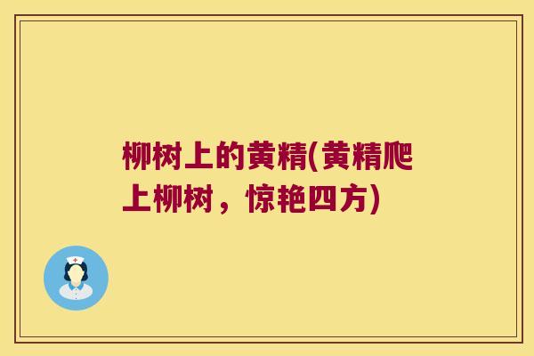 柳树上的黄精(黄精爬上柳树，惊艳四方)