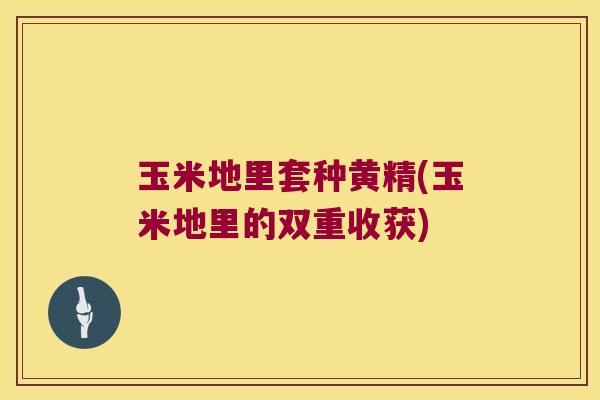 玉米地里套种黄精(玉米地里的双重收获)