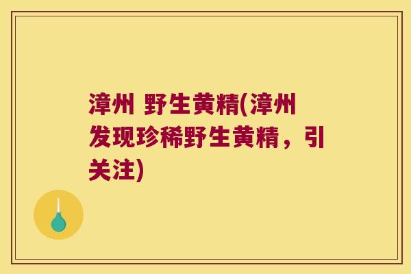 漳州 野生黄精(漳州发现珍稀野生黄精，引关注)
